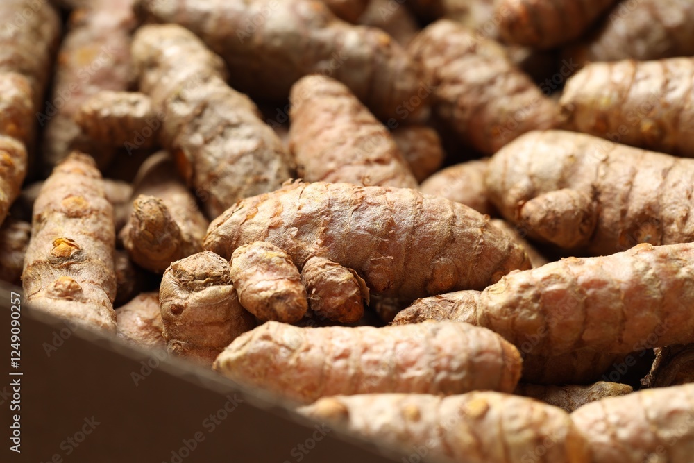 Many fresh turmeric roots as background, closeup Many fresh turmeric roots as background, closeup