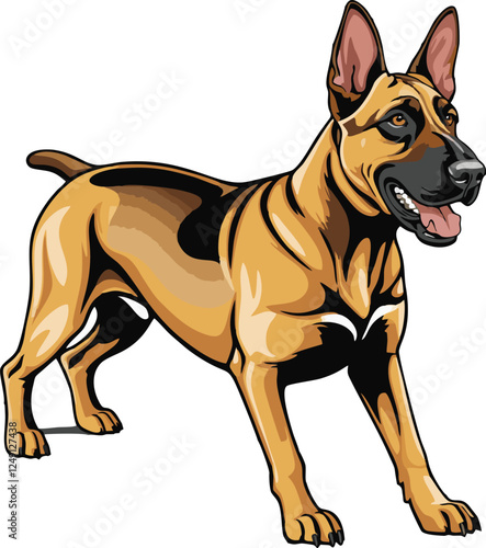 Belgian Malinois dog mascot logo design concept vector illustration white background	