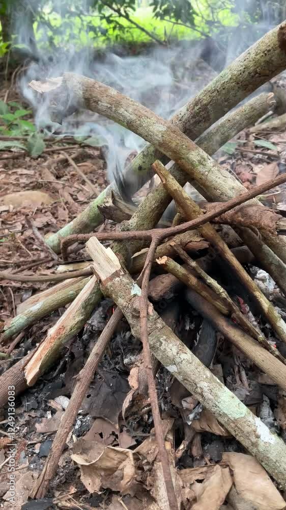 Building a bonfire in the forest. Building a bonfire in the forest.