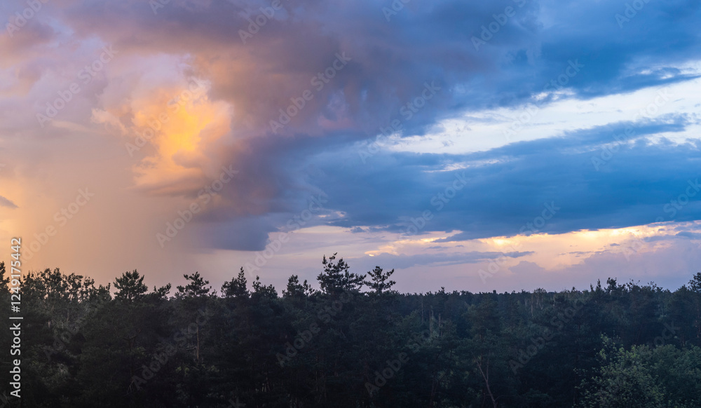 Naklejka premium Colorful sunset illuminating clouds over a dense forest landscape during late evening hours