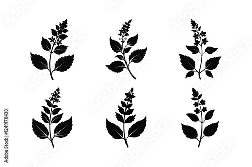 Catmint (Nepeta spp.) silhouette vector art illustration