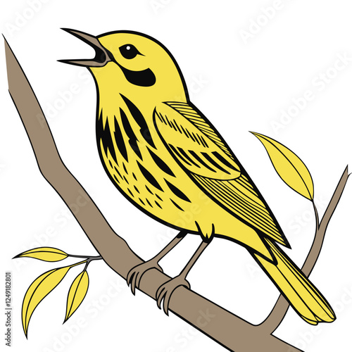 Yellow warbler on white background.