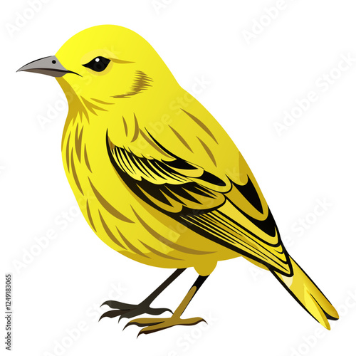 Yellow warbler on white background.
