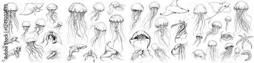 A modern assortment of hand-drawn ocean and sea creatures in sketch style, isolated against a white background