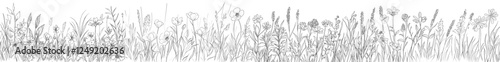 Black silhouettes of grass, flowers, and herbs on a plain white background. The illustration features hand-drawn flowers and insects