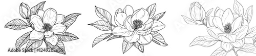 Modern illustration of a hand-drawn ink magnolia flower in a vintage style