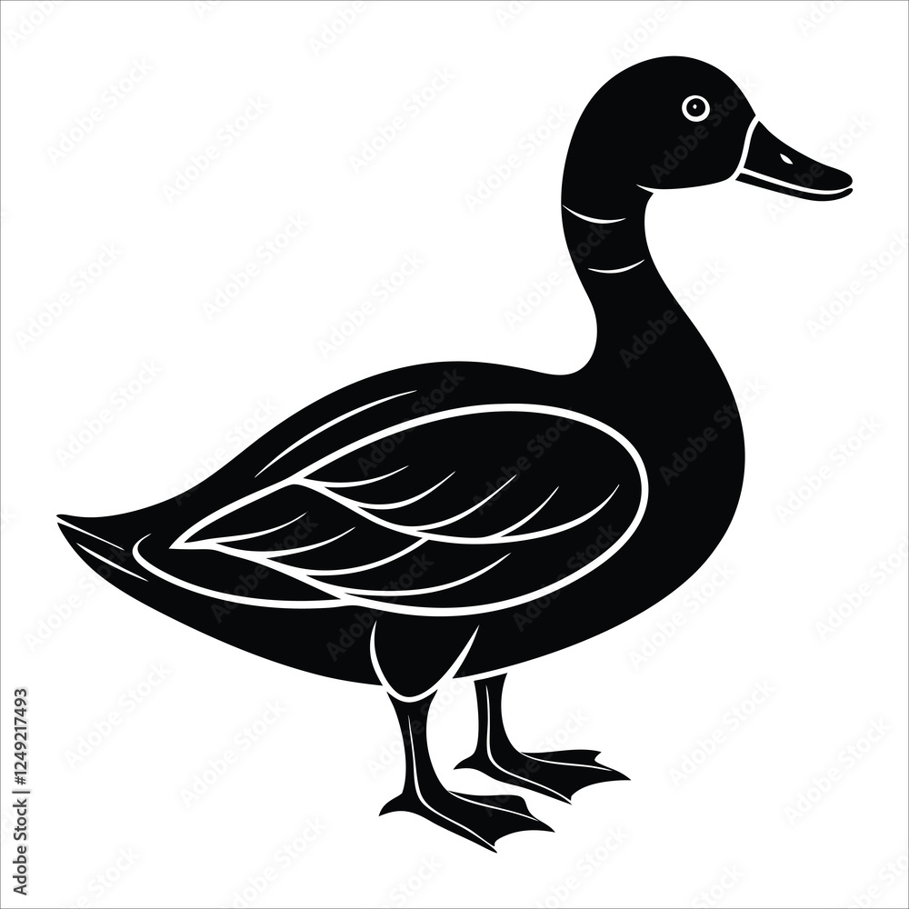 Duck vector illustration silhouette on a white background. Duck vector illustration silhouette on a white background.