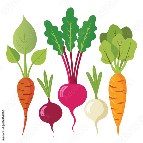 Colorful Vector Illustration of Root Vegetables: Carrots, Beets, Radishes, and Turnips - Healthy Eating, Farm Fresh Produce Art