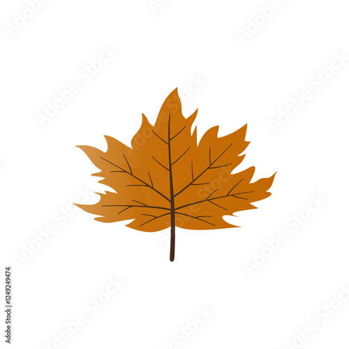 autumn maple leaf