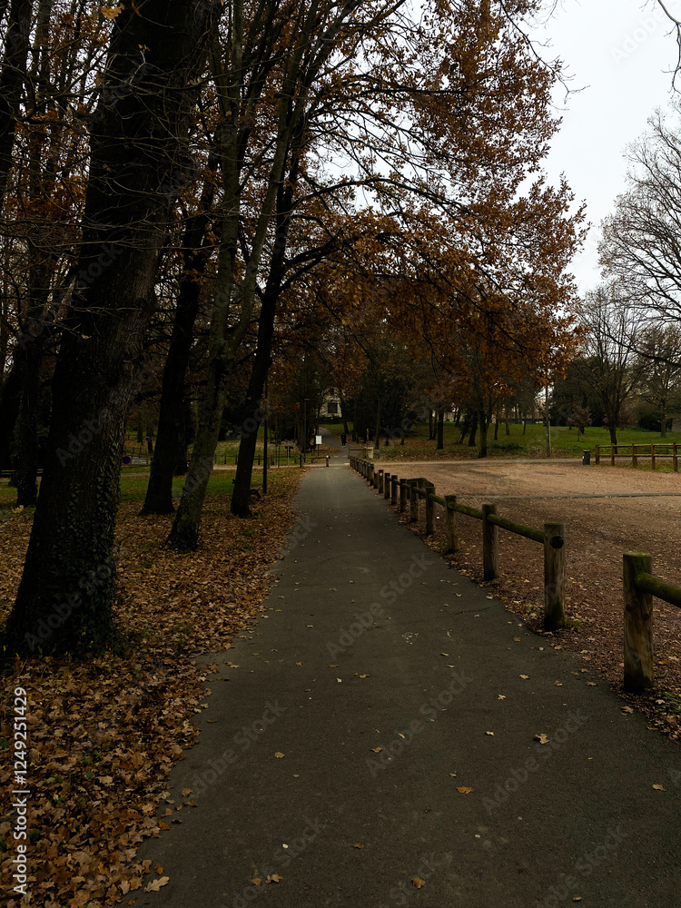 path in the park path in the park