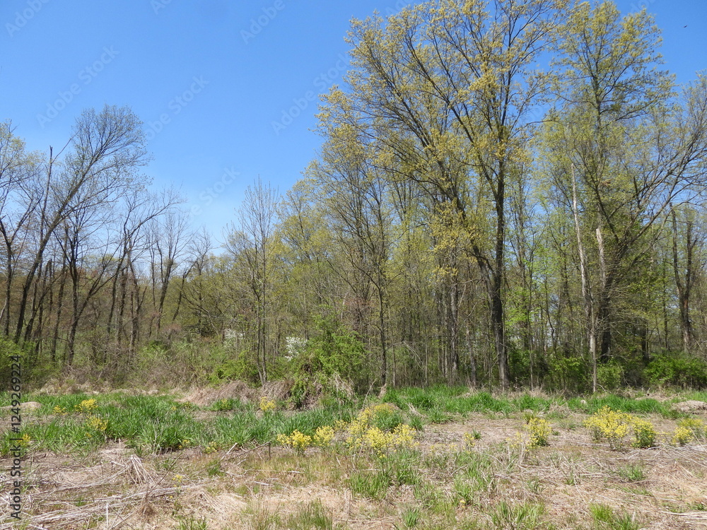 The natural beauty of the Middle Creek Wildlife Management Area, Lancaster County, Pennsylvania, during the spring season. The natural beauty of the Middle Creek Wildlife Management Area, Lancaster County, Pennsylvania, during the spring season.