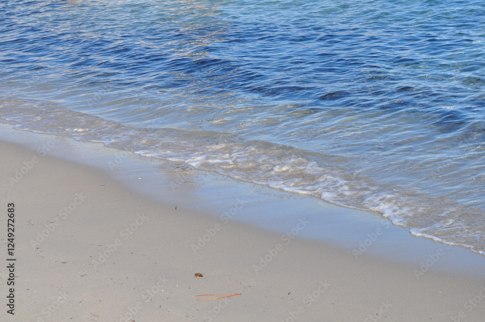 Corse Corse