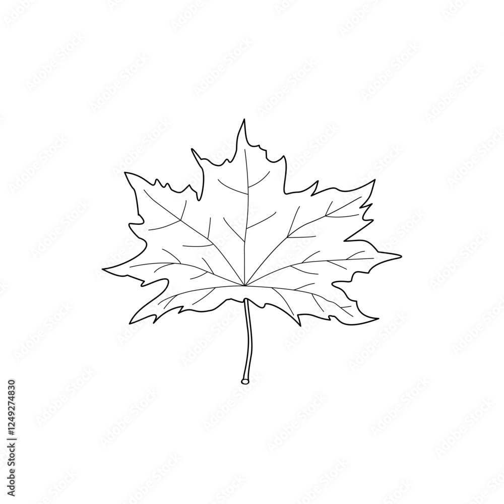 Naklejka premium autumn leaves vector