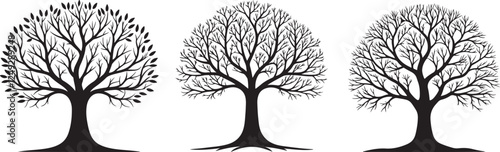Without leaf tree silhouette vector set, black tree silhouette illustration design.
