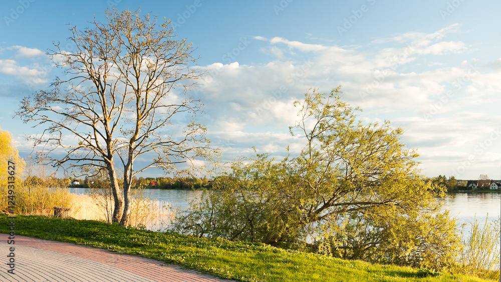 Obraz premium sunset in the park, in the photo the bank, river, cobblestone footpath, trees and blue sky with clouds