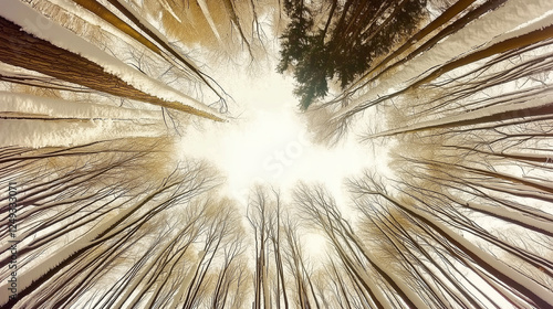 Beautiful landscapes