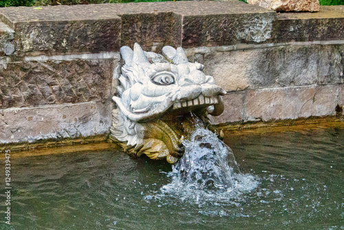 2013-08-30: Water Dragon in Liancheng county, East China's Fujian province photo