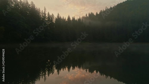 Aerial view of sunrise in the misty forest. Foggy golden sunset in mountains. Flying over green trees valley. Morning mist, country fields, sun rising above the horizon. Scenic nature landscape.