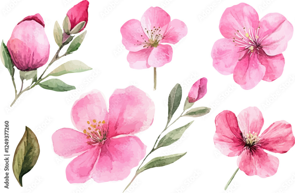 Fototapeta premium pink and white flowers