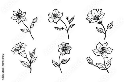 Checkerbloom (Sidalcea spp.) line art vector art illustration