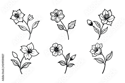 Checkerbloom (Sidalcea spp.) line art vector art illustration