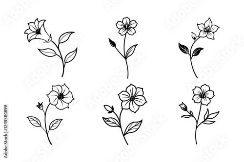 Checkerbloom (Sidalcea spp.) line art vector art illustration
