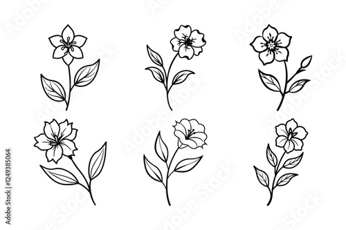 Checkerbloom (Sidalcea spp.) line art vector art illustration