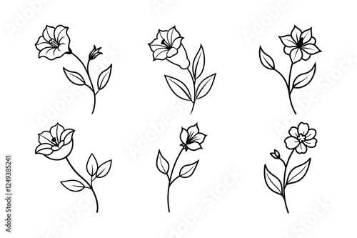 Checkerbloom (Sidalcea spp.) line art vector art illustration