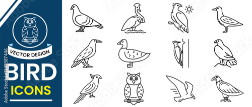 Bird line icon, vector set. Set of silhouettes of birds vector sign and symbol. Flying, siting and swimming bird icon, owl, dove, duck, parrot and others bird symbol. Vector illustration.