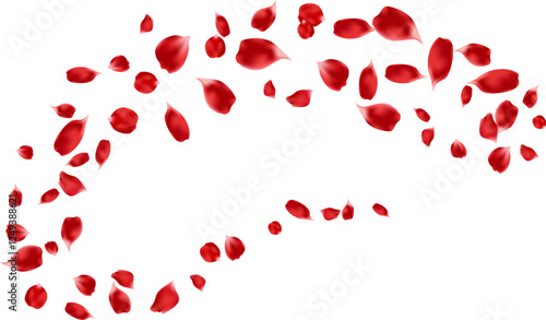 Red rose petals flying element decoration freshening in nature background. botanical vector