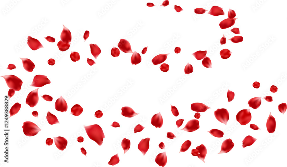 Beautiful rose petals flying floating decoration freshening ecology illustration. Aroma, spa Beautiful rose petals flying floating decoration freshening ecology illustration. Aroma, spa
