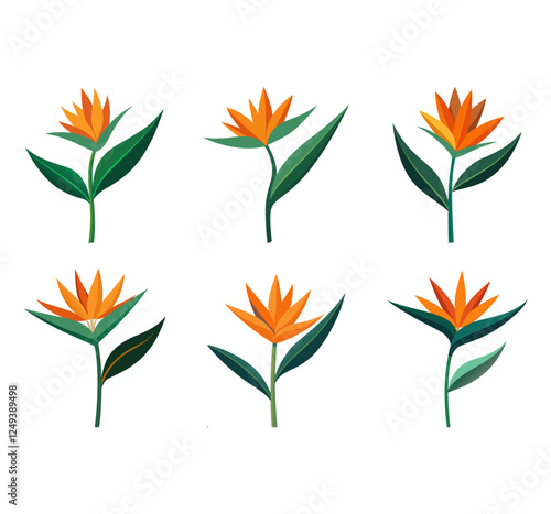 Tropical Leaves individual florals elements