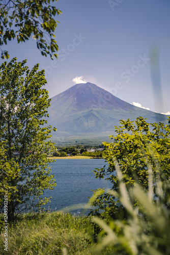 mount fuji in summer