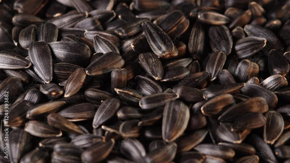 Pouring sunflower seeds. Close-up of sunflower seed fall. Dried Sunflower Seeds Falling in Slow Motion Close Up. Background from Natural Products Pouring sunflower seeds. Close-up of sunflower seed fall. Dried Sunflower Seeds Falling in Slow Motion Close Up. Background from Natural Products