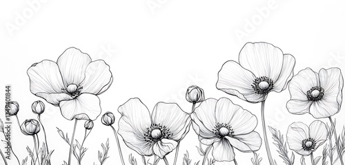 Flower Drawing Artwork Elegant Line Art Botany Beautiful Hand Sketch photo