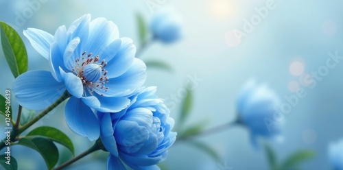 Fototapeta Naklejka Na Ścianę i Meble -  Delicate blue peonies in full bloom on a soft floral background, blooms, blue flowers, spring