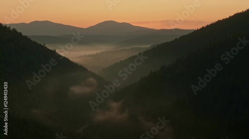 Aerial view of sunrise in the misty forest. Foggy golden sunset in mountains. Flying over green trees valley. Morning mist, country fields, sun rising above the horizon. Scenic nature landscape.