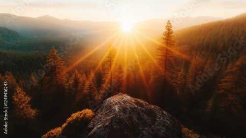 A breathtaking view of a golden sunset casting rays over distant mountains and pine trees, symbolizing the beauty of nature and the tranquility of evening skies.