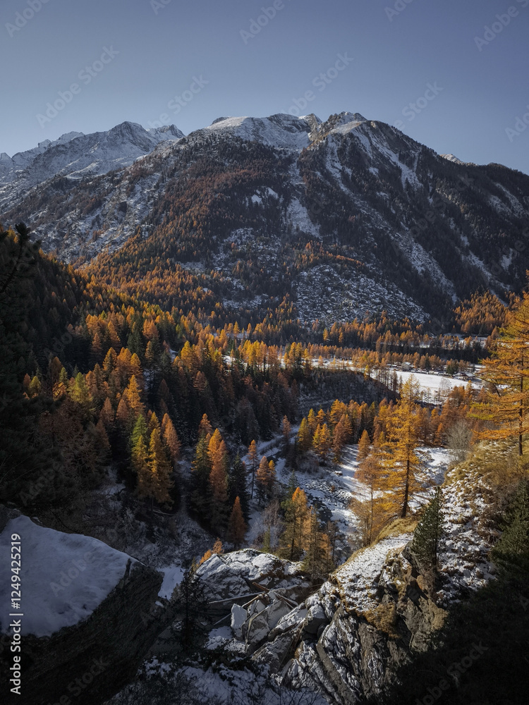 Fototapeta premium Snow dusted peaks of the italian alps rising above a vibrant larch forest in the aosta valley during autumn's transition to winter Cascate di Lillaz
