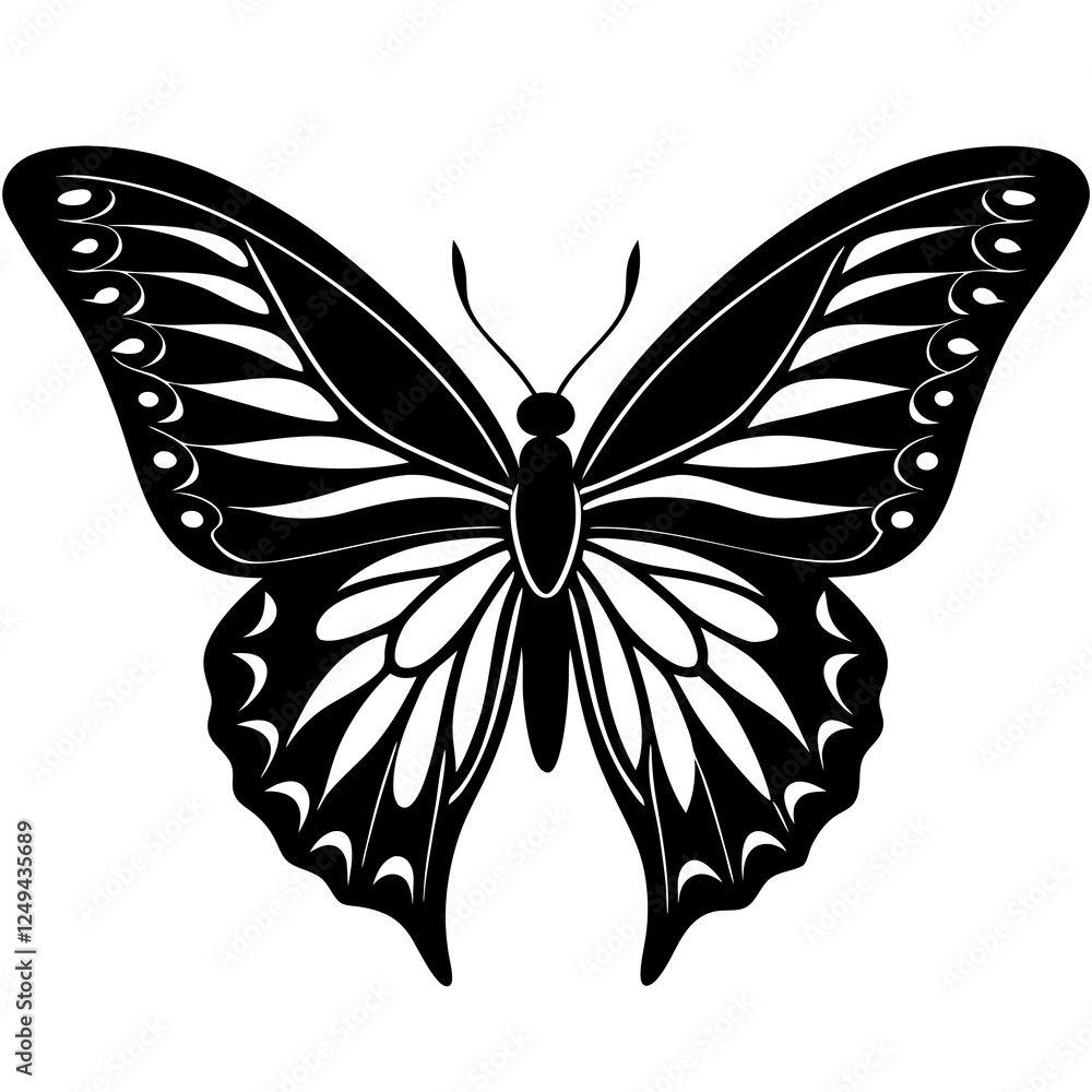 Butterfly spreading its wings silhouette vector illustration Butterfly spreading its wings silhouette vector illustration