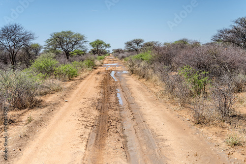 Foto dirt road with puddles in bushveld countryside of Waterberg plateau, near Otjiwa