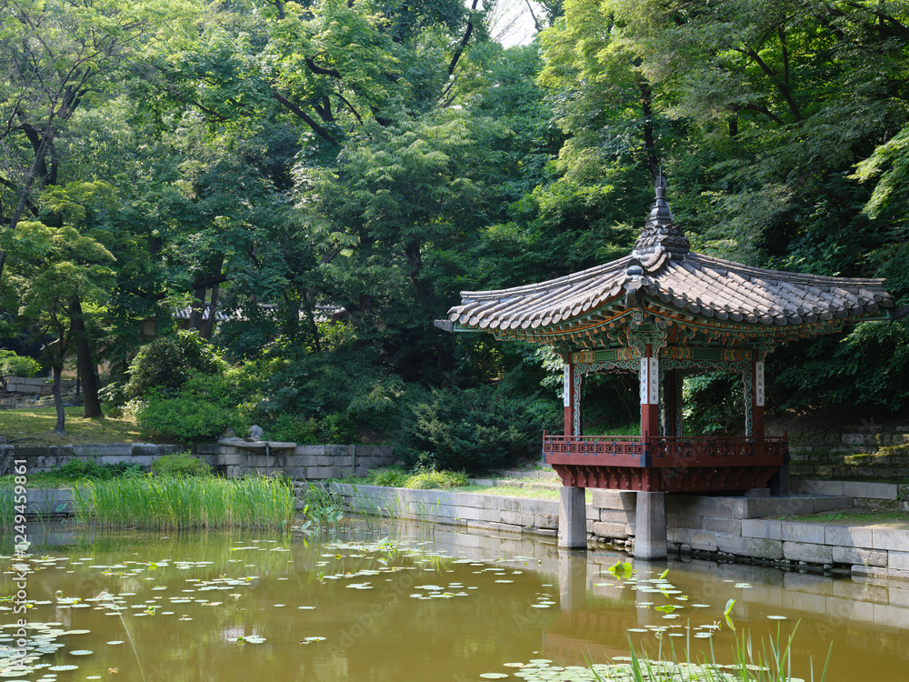 Fototapeta premium Korea Trip