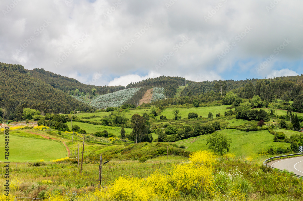 The town of Tazones, Asturias Tourism, Villaviciosa The town of Tazones, Asturias Tourism, Villaviciosa