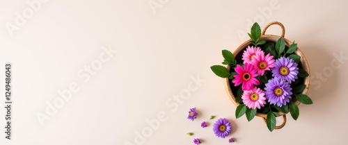 Colorful gerbera daisies in wicker basket for floral blogs, greeting cards, springtime promotions, home decor websites, and botanical presentations