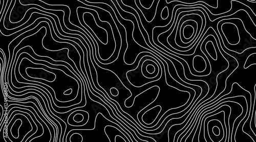 topo wavy black and white mountain surface, liquid line art background
