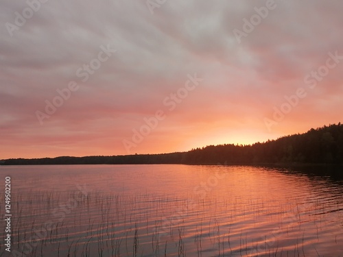 pink sunset on a lake in clouds, rare reeds