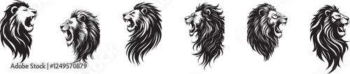Lion head silhouette vector art illustration
