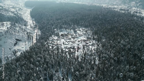 Aerial drone forward-moving shot, flying over a dense coniferous forest covered with white snow on a cold winter day in Pakistan, Kalam, Swat.