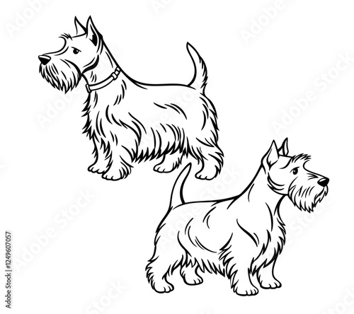 Create a minimalist, black-and-white line art illustration of a Scottish Terrier dog.The dog should have its signature bushy beard and eyebrows, perky ears, and a slightly curved tail. 