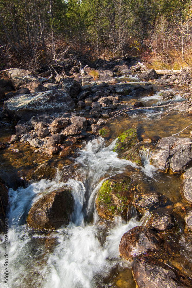 Serene Forest Stream Flowing Over Smooth Stones in Natural Tranquil Setting Serene Forest Stream Flowing Over Smooth Stones in Natural Tranquil Setting